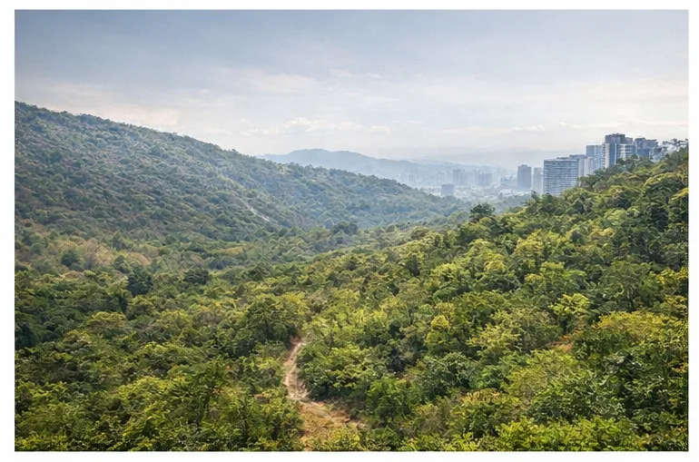 Aravali Forest Degradation: Environmental Impact and Urban Development Challenges